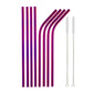 Rainbow Color Reusable Metal Straws Set